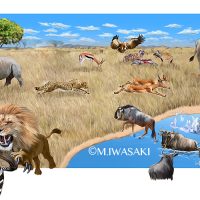 動物リアルイラスト・アフリカ草原