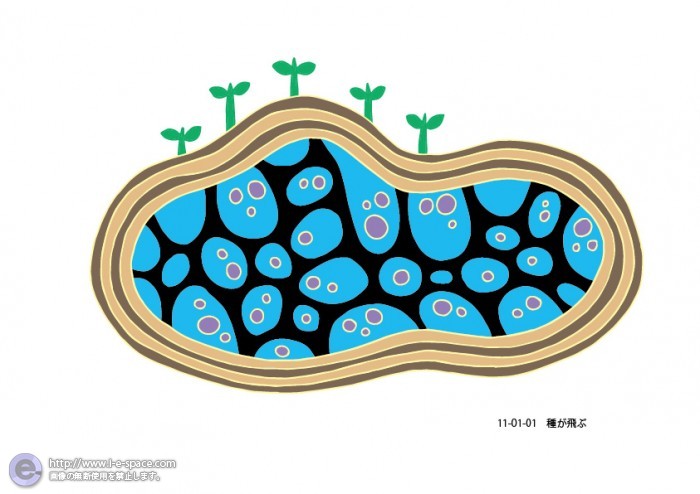 種が飛ぶ